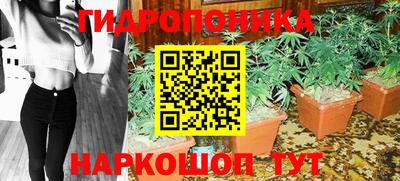 spice Аргун