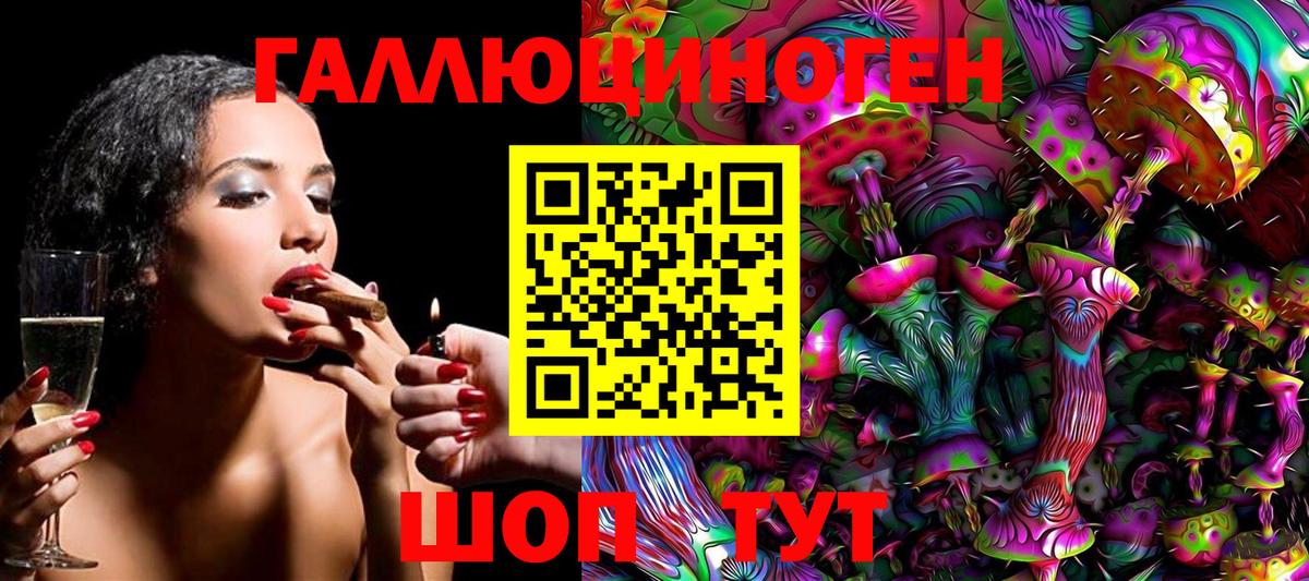 Бахчисарай  продажа наркотиков  Вход с VPN  Псилоцибиновые грибы Psilocybe 