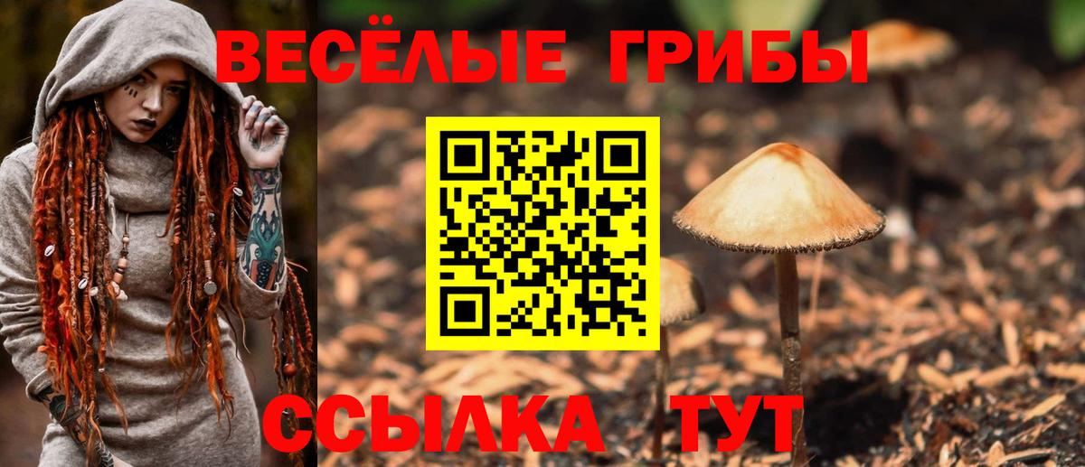 Псилоцибиновые грибы мухоморы Бахчисарай